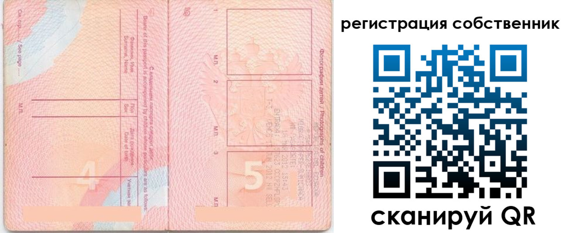 прописка ребенка в Тавде